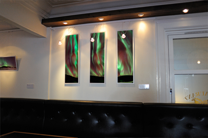 Exhibition De Fire Roser