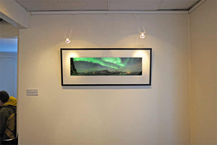 Exhibition De Fire Roser