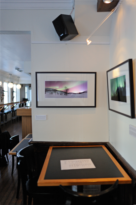 Exhibition De Fire Roser